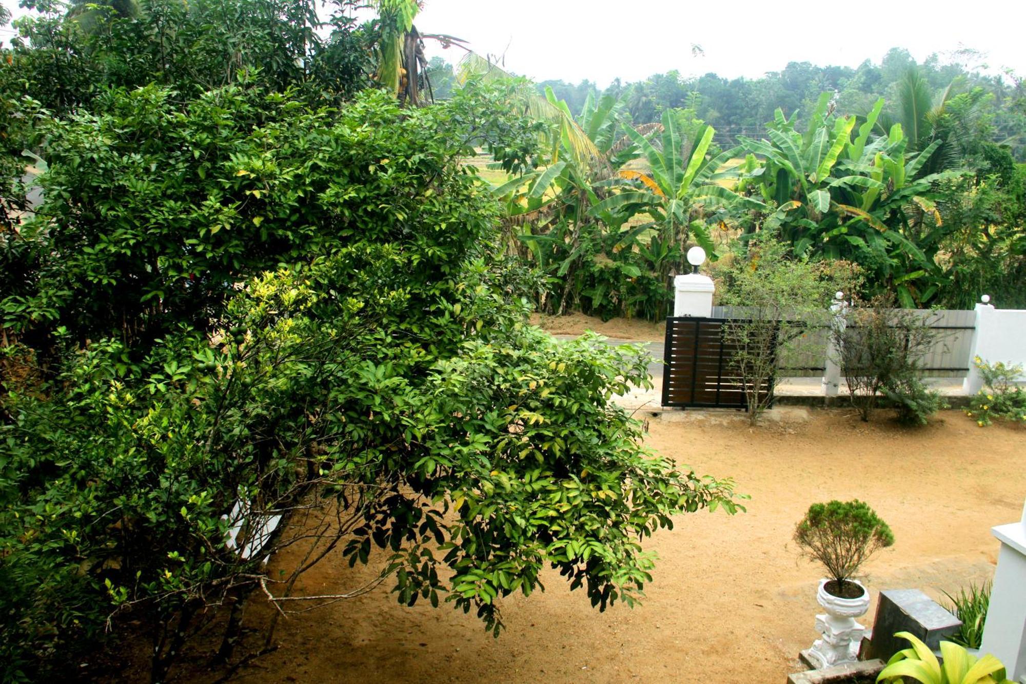 The Breeze Pinnawala Pinnawala (Kegalle) Exterior foto