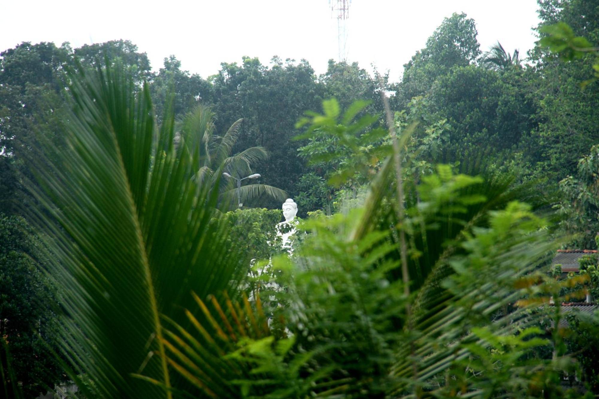 The Breeze Pinnawala Pinnawala (Kegalle) Exterior foto